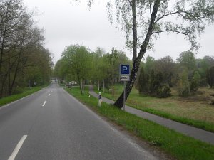 Buchholz 2010 088